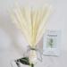 30 pcs Natural Dried Pampas Grass DÃ©cor Plants Reed Grass Plume for Wedding DÃ©cor Dried Flowers Bouquet for Flower Arrangements and Home Kitchen DÃ©corï¼ˆ17.7inï¼‰