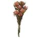 Vickerman 8-20 Erica Pink Plumosum Female 8 flower heads per bundle Preserved