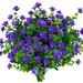 Morttic Artificial Flowers Fake Outdoor UV Resistant Boxwood Plants Shrubs 24 Pack Faux Plastic Greenery for Indoor Outside Hanging Planter Home Office Wedding Farmhouse Decor (Purple)