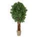 Nearly Natural 6 Lychee Artificial Tree in Country White Planter