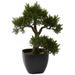 Nearly Natural 15 Cedar Bonsai Artificial Plant Green