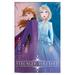 Disney Frozen 2 - Sisters Wall Poster 22.375 x 34 Framed