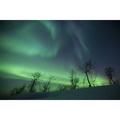 Northern Lights in the arctic wilderness Nordland Norway Poster Print (34 x 23)