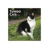 2023 BrownTrout Tuxedo Cats 12 x 12 Monthly Wall Calendar (9781975448974)