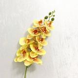 Large Phalaenopsis Orchid Spray with 9 Flowers - EpicGadget 38 Tall Yellow Phalaenopsis Artificial Flower Orchid Floral Arrangements for Bedroom Kitchen Living Room Office Centerpieces (1 Piece)