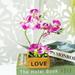 SPRING PARK Artificial Butterfly Orchid Silk Flower Wedding Party Fake Bonsai Home Decor