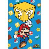 Super Mario Block Jump 24x36 Poster