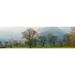 Autumn trees with mountain in the background Langdale Lake District National Park Cumbria England Poster Print (20 x 6)