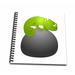 3dRose Cute Green Chameleon Sitting on a Rock - Memory Book 12 by 12-inch