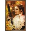 Star Wars: Saga - Princess Leia - Signature Wall Poster 22.375 x 34 Framed
