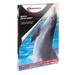 Innovera IVR99450 8-1/2 in. x 11 in. Glossy Photo Paper (50/Pack)