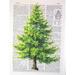 Art N Wordz Natural Cut Pine Tree Original Dictionary Sheet Pop Art Wall or Desk Art Print Poster