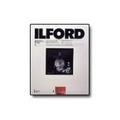 ILFORD ILFOSPEED RC DeLuxe - B&W negative paper - resin coated - glossy - grade #3 - 8.5 in x 11 in - 250 sheets