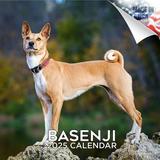 2023 2024 Basenji Calendar - Dog Breed Monthly Wall Calendar - 12 x 24 Open - Thick No-Bleed Paper - Giftable - Academic Teacher s Planner Calendar Organizing & Planning - Made in USA