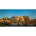 Joshua trees and rocks on a landscape Joshua Tree National Park California USA Poster Print by Panoramic Images (24 x 12)
