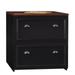 Bowery Hill 2 Drawer Lateral File Cabinet in Black and Cherry