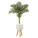 Nearly Natural 4.5 Golden Cane Artificial Palm Tree in White Planter with Stand