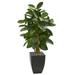 Nearly Natural 56-In. Artificial Rubber Tree in Black Planter