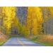 Colorado-Aspen-curved roadway near township of Aspen in fall colors by Sylvia Gulin (24 x 18)