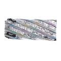 ZIPIT Metallic Pencil Case for Girls Holds up to 30 Pens Pouch Made of One Long Zipper! ( Holo-Silver)