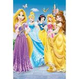 Disney Princesses Laminated Poster (24 x 36)