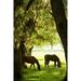 Horses in the Sunrise VI Poster Print by Alan Hausenflock (10 x 14)