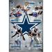 Dallas Cowboys - Team 2014 Laminated Poster Print (24 x 36)