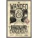 Fantastic Beasts And Where To Find Them - Wanded - Extremely Dangerous Wall Poster 14.725 x 22.375 Framed