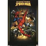 Spider-Man - Adversaries Laminated Poster Print (24 x 36)