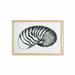 Vintage Nautical Tattoo Wall Art with Frame Detailed Vintage Sketch of Nautilus Shell Plain Background Printed Fabric Poster for Bathroom Living Room 35 x 23 Charcoal Grey White by Ambesonne