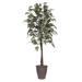 Vickerman TEC1760-RB 6 ft. Frosted Maple Tree - Round Brown Container Green & Brown