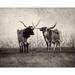 Texas Longhorns by Debra Van Swearingen (36 x 24)