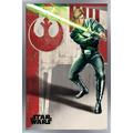 Star Wars: Return of the Jedi - Luke Wall Poster 22.375 x 34 Framed