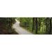 Panoramic Images PPI93652L Empty road running through a forest Stuttgart Baden-Wurttemberg Germany Poster Print by Panoramic Images - 36 x 12