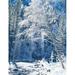 Snow covered trees along Merced River Yosemite Valley Yosemite National Park California Poster Print by Scott T. Smith (24 x 30)
