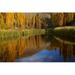 Posterazzi Poplar Trees in Autumn Bannockburn Cromwell Central Otago South Island New Zealand Poster Print by David Wall