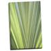 Gango Home Decor Contemporary Tropical Leaf Close-Up II by Karyn Millet (Ready to Hang); One 24x36in Hand-Stretched Canvas