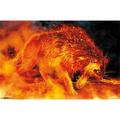 Poster - Tom Wood - Fire Stalker New Wall Art 22 x34 rp13518