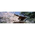 Panoramic Images PPI42923L USA California San Francisco Golden Gate Park Japanese Tea Garden front gate Poster Print by Panoramic Images - 36 x 12