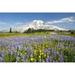 Posterazzi Wildflowers In Paradise Park with Mount Rainier In the Background - Mount Rainier National Park Washington USA Poster Print - 19 x 12