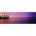 Beautiful Pink Sunset Over The Ocean Palm Trees Along The Coastline Poster Print (36 x 12)