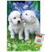 Keith Kimberlin - White Golden Retriever Puppies Wall Poster with Pushpins 14.725 x 22.375