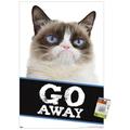 Grumpy Cat - Go Away 22.37 x 34 Poster by Trends International