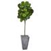 Nearly Natural Fiddle Leaf 6.25 ft. Artificial Tree in Cement Planter
