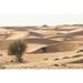 Desert with sand. Abu Dhabi United Arab Emirates. Poster Print by Tom Norring (24 x 36)