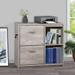 Saint Birch Elma Wood Gray File Cabinet