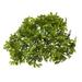Nearly Natural 6in. Moss Artificial Bush Flower (Set of 12) Green