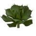 Nearly Natural 15 Succulent Pick Artificial Plant (Set of 2) Green
