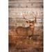 Woodland Deer Poster Print by Kathy Mansfield (36 x 24)