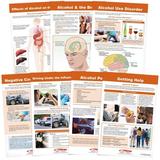 Sportime Alcohol Abuse and Addiction Bulletin Board Charts Set of 7 Grades 5 to 12